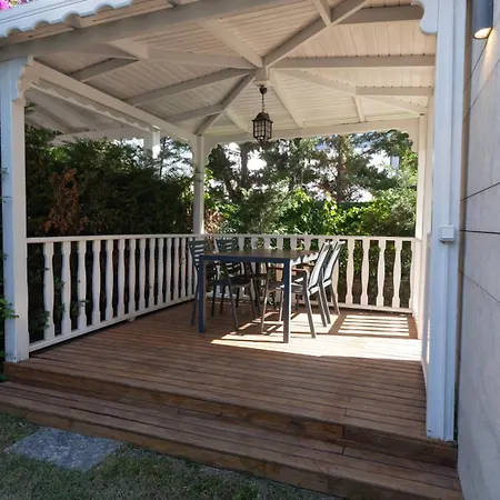 Blue Point * 亚力卡瓦克